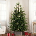 thumbnail image 4 of Northlight Real Touch™ Elite Pre-Lit Glenmora Pine IPT Artificial Christmas Tree - 6' Dual Color LED, 4 of 9