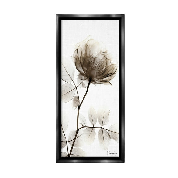 Stupell Industries Contemporary X-Ray Flower Botanical & Floral Photography Black Floater Framed Canvas Art Print Wall Art, 11 x 25