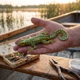 thumbnail image 3 of Floating Gecko Soft Fishing Lure, Lifelike Lizard Creature Bait with Curly Tail and Hooks for Bass and Pike, Green Stripe, 5.31 Inch, 3 of 4