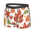 thumbnail image 2 of Disketp Acorns And Autumn Leaves Men'S Boxer Briefs,Soft And Breathable Cotton Underwear With Comfortflex Waistband, 2 of 9