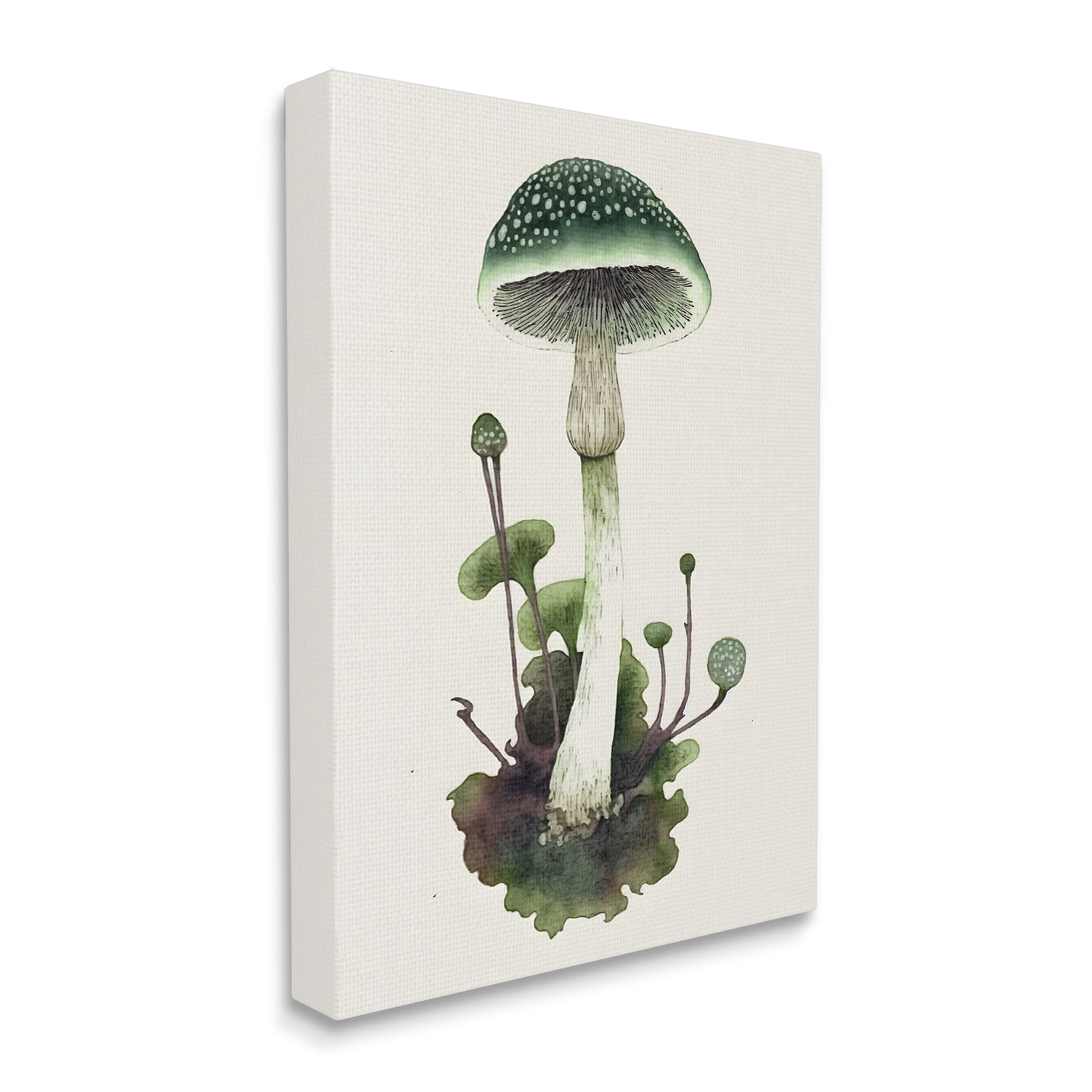 Stupell Industries Forest Green Mushroom Botanical & Floral Painting Gallery Wrapped Canvas Art Print Wall Art, 30 x 40