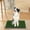 C, variant on Reusable Artificial Grass Puppy Pee Pad Indoor Outdoor Dog Potty Training Mat with Drainage