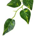 thumbnail image 3 of 5PCS Planta artificial Colgando Vine Hojas falsas Garland Scindapsus Vine brillar Electrónica, 3 of 3