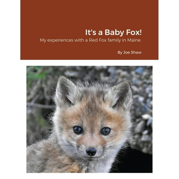 It's a Baby Fox!, (Paperback)