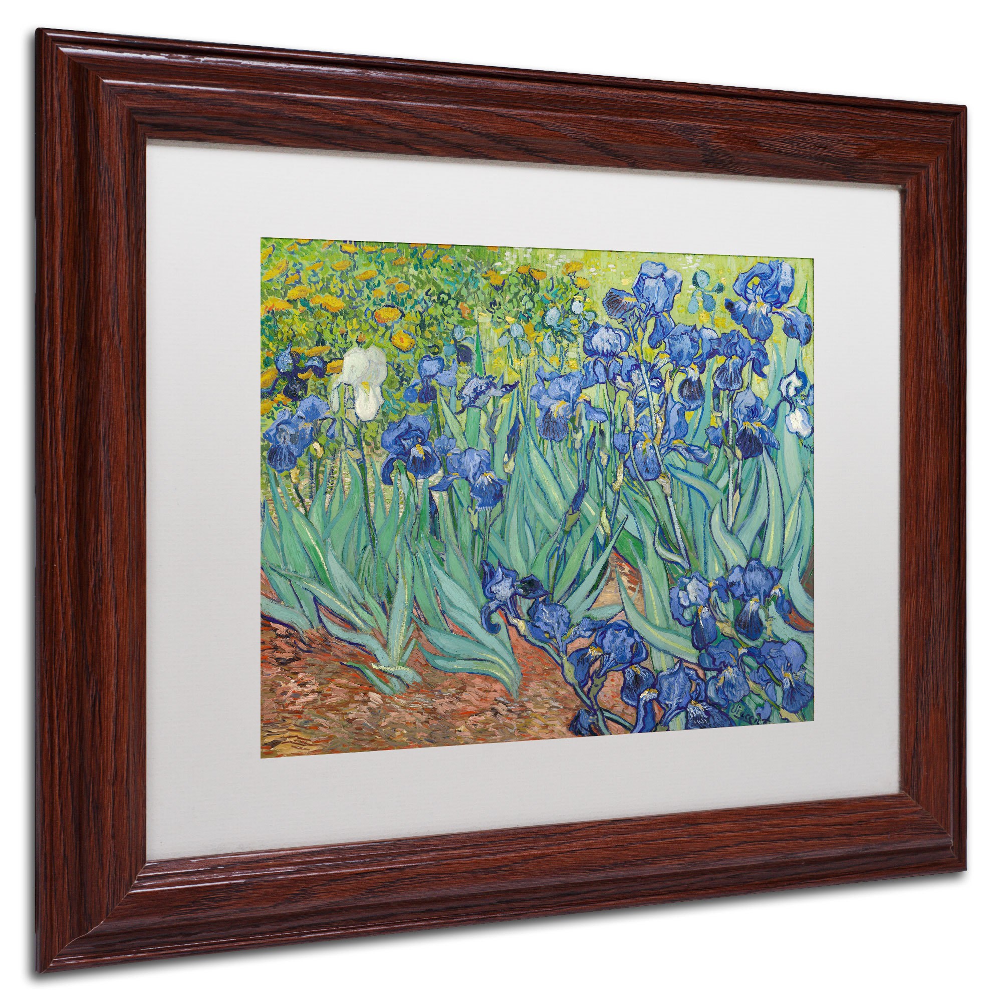 Trademark Fine Art "Irises, 1889" Canvas Art by Vincent van Gogh, White Matte, Wood Frame