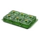 thumbnail image 2 of Plato de frutos secos, aperitivos, plato, caja de almacenamiento de alimentos, verde 6 rejillas, 2 of 9