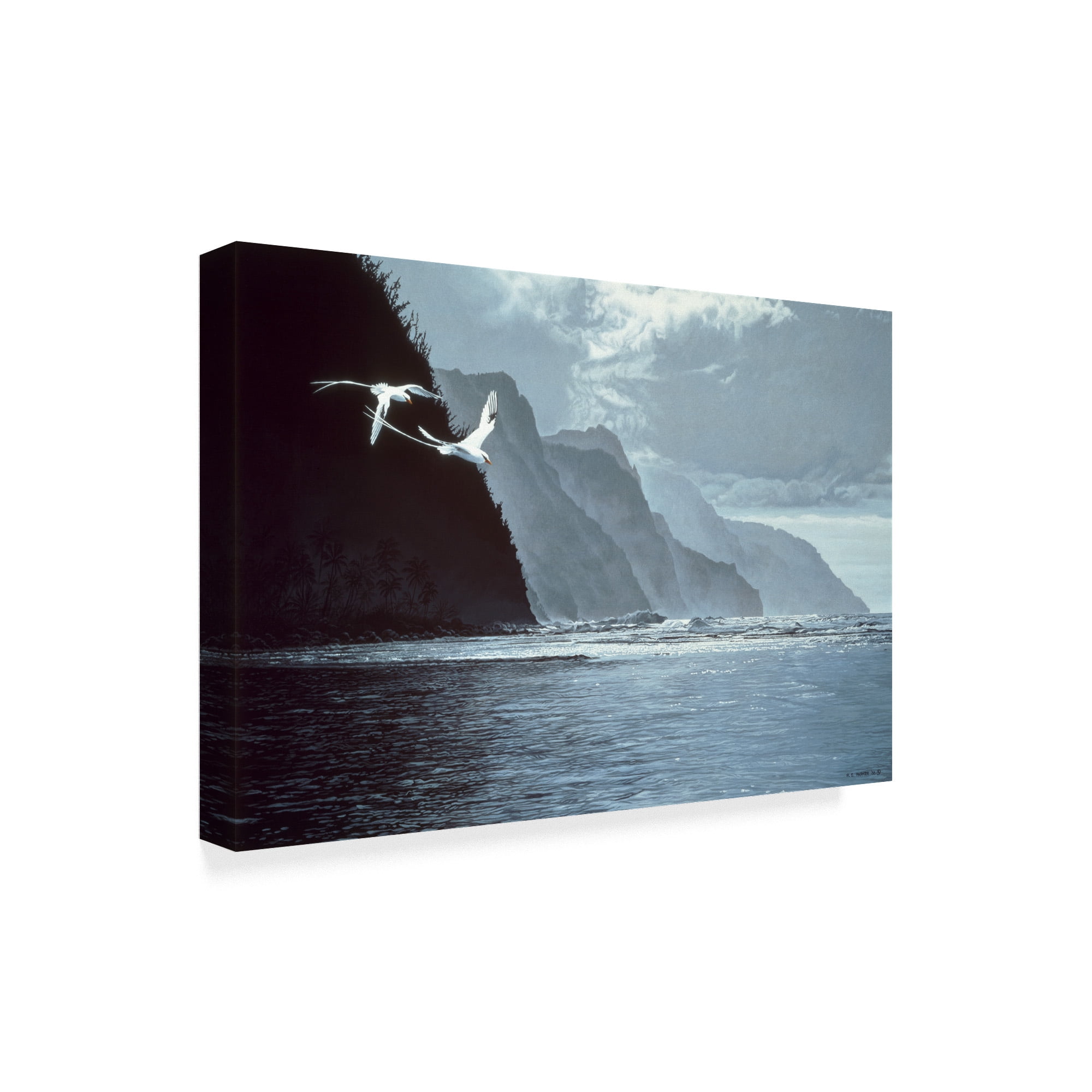 Trademark Fine Art 'White Tailed Tropic Birds' Canvas Art by Ron Parker