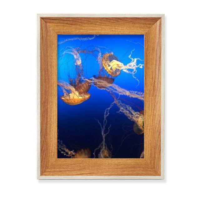 Ocean Jellyfish Science Nature Picture Desktop Wooden Photo Frame Display Picture Art Painting Multiple Sets
