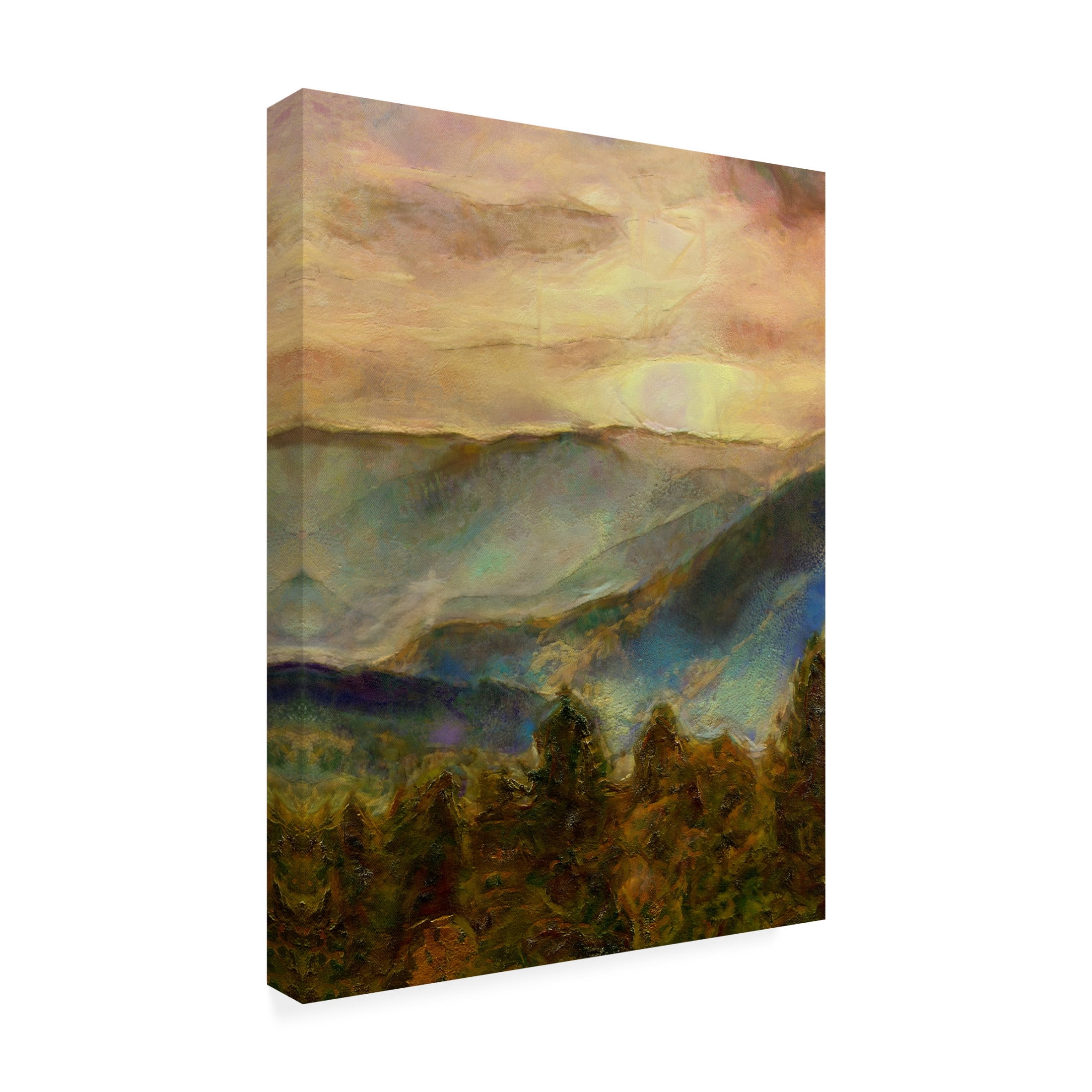 Trademark Fine Art Alonzo Saunders  Into the Valley II Canvas Wall Art