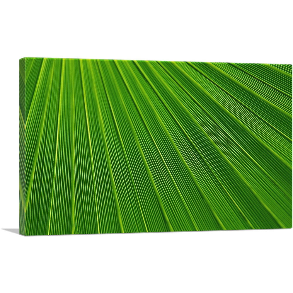 ARTCANVAS Abstract Green Leaf Canvas Art Print Size 40" x 26" (1.50