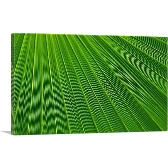 ARTCANVAS Abstract Green Leaf Canvas Art Print - Size: 18" x 12" (1.50" Deep)