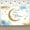 5x3FT, variant on Baby Shower Backdrop We are Over The Moon Photography Background Gold Moon Stars Glitter Dots Blue Cloud Boy Girl Newborn Party Decorations Banner Photo Booth Props