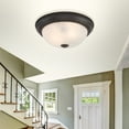 thumbnail image 3 of Flush Mount Lighting Series Two Light Incandescent, 3 of 3
