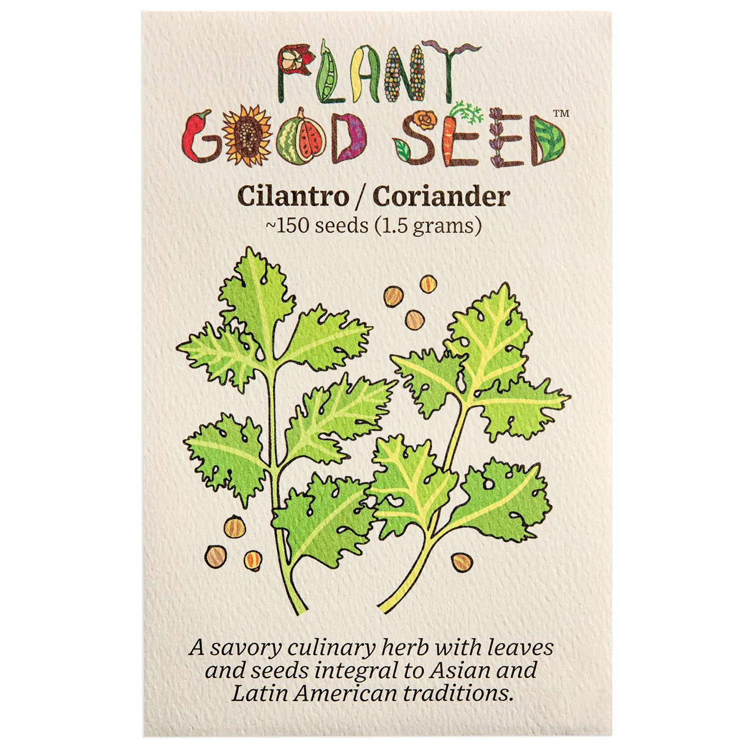 Cilantro Seeds