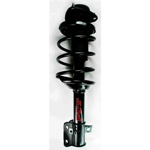 Suspension Strut and Coil Spring Assembly