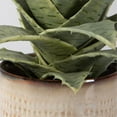 thumbnail image 4 of Uttermost Seaside Succulents Coastal Ceramic Flower Pot in Tan (Set of 2), 4 of 5