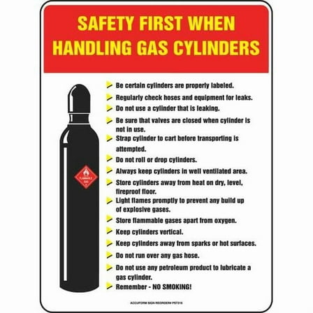 Accuform Safety Poster,22 in x 17 in,Plastic SP124489L