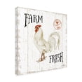 thumbnail image 2 of Trademark Fine Art 'Free Range Fresh III' Canvas Art by Katie Pertiet, 2 of 4