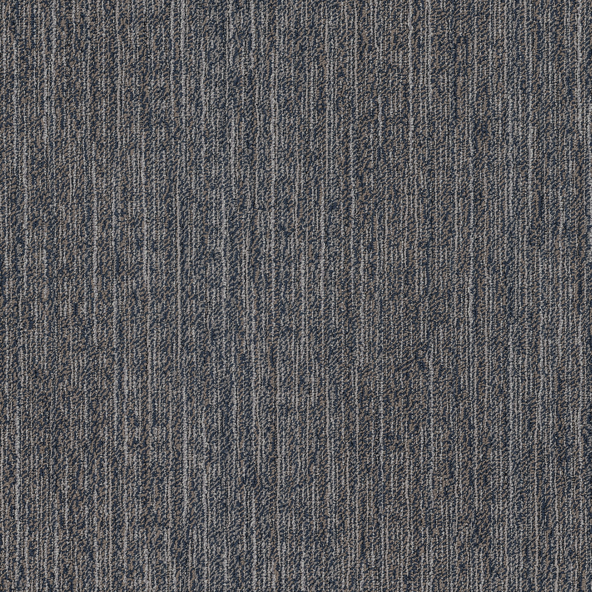 Shaw Nabla 24-in x 24-in Charcoal Osidad Multi-Level Loop Adhesive Carpet Tile (79.99-Sq ft)