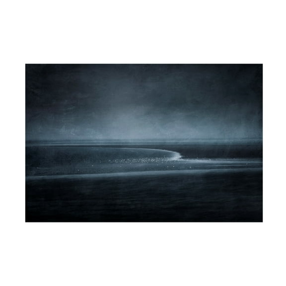 Canvas Wall Art - Fuyuki Hattori 'Silence' Wall Art for Living Room, Bedroom, or Office Décor by Trademark Fine Art - 19 x 12 Inches