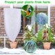 thumbnail image 5 of Paquete de 2 fundas protectoras para plantas de hibernación, velo protector de hibernación con cremallera para árboles, palmeras, uso en exteriores (80 x 100) esquí esquí Gafas de esquí, 5 of 5