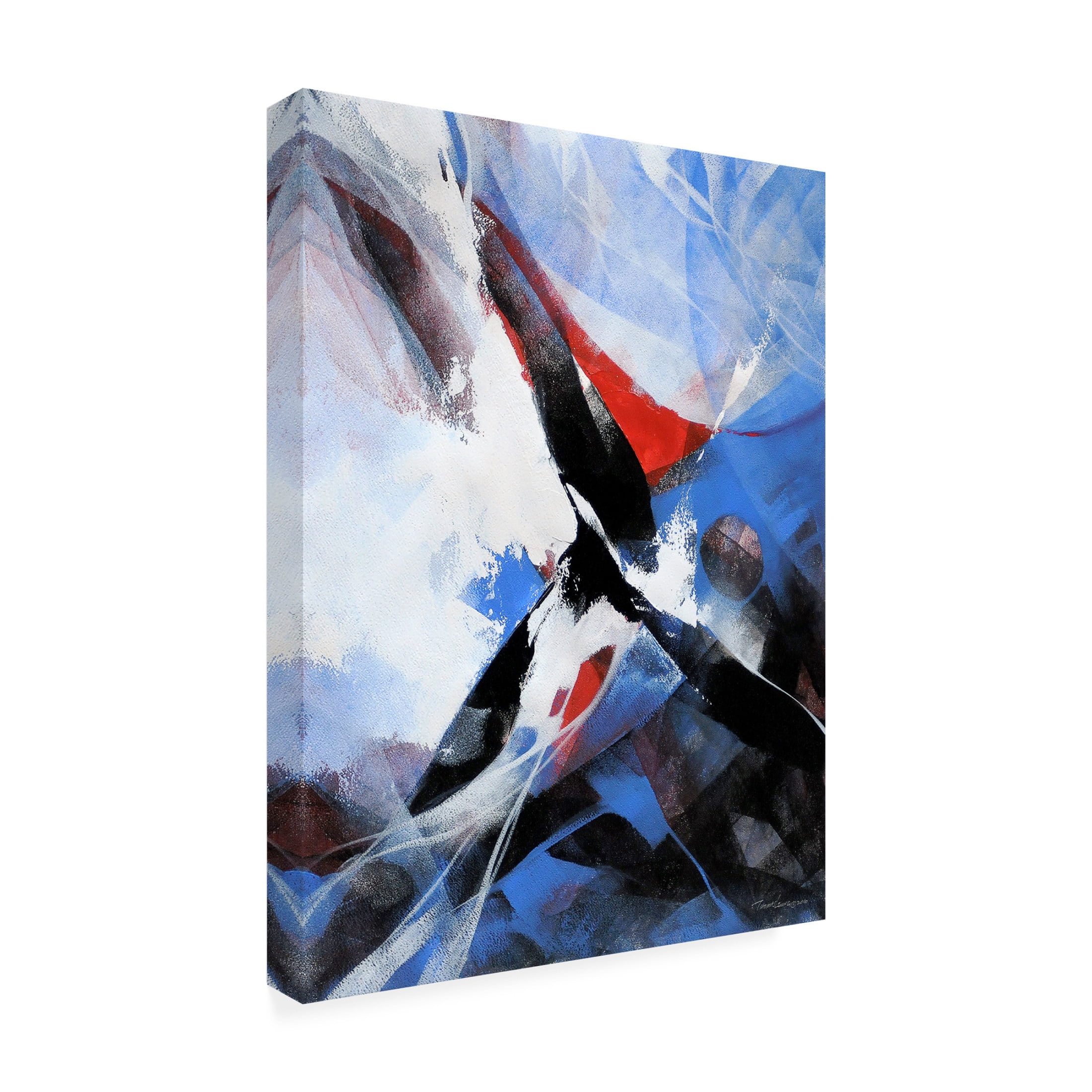 Canvas Wall Art - Thomas Leung 'Action 1' Wall Art for Living Room, Bedroom, or Office Décor by Trademark Fine Art - 18 x 24 Inches