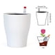 thumbnail image 4 of Se apilan varias piezas en el almacén y se envían con bolsas de burbujas Maceta suculenta simple para interiores nórdica de pie de plástico engrosado de tamaño pequeño ANGGREK Otros, 4 of 8