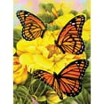 thumbnail image 1 of cepillo real Royal Brush PJS-68, 1 of 1