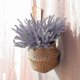 thumbnail image 4 of Artificial Lavender Flowers 8-Piece Set - Faux Plastic Arrangement for Table Decor & Floral Home Decoration, 4 of 5