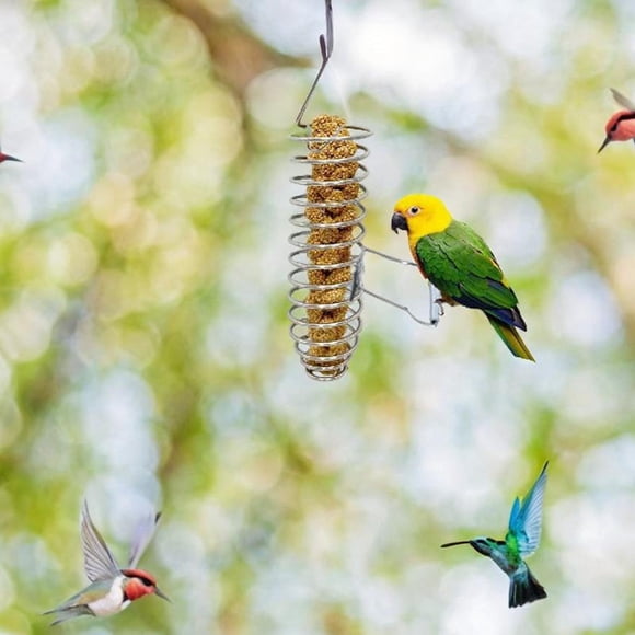 Comedero de acero inoxidable para pájaros, jaula para pájaros, dispensador de golosinas para loros, frutas y verduras para canarios, ratas y