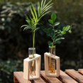 thumbnail image 4 of Crystal Glass Test Tube Vase in Wooden Stand Flower Pots for Hydroponic Plants Home Garden Decoratio, 4 of 5
