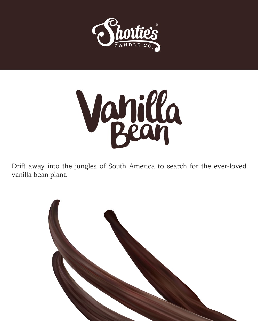 Vanilla Bean Scented 3 Wick Candle - All Natural - Made with 100% Responsibly Sourced Soy and Essential Fragrance Oils - Phthalate & Paraffin Free, Vegan, Non-Toxic