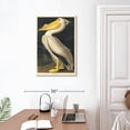 thumbnail image 3 of Elephant Stock American White Pelican From Birds Of America Wall Art - Vertical Canvas Wall Art - Living Room Wall Decor - Animal Canvas - Gray And Beige Decor By John James Audubon - 20" x 30", 3 of 8