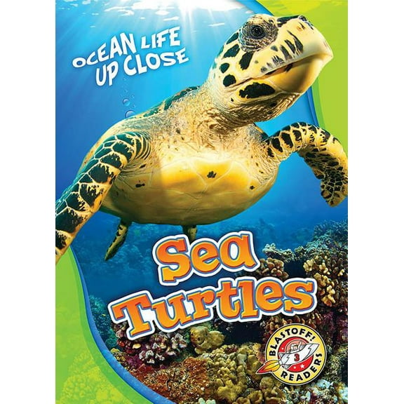 Ocean Life Up Close Sea Turtles, (Hardcover)