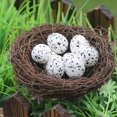 thumbnail image 3 of 40pcs Artificial Bird Egg Easter Egg Ornaments Easter Foam Bird Egg Decoration Party Favor, 3 of 4