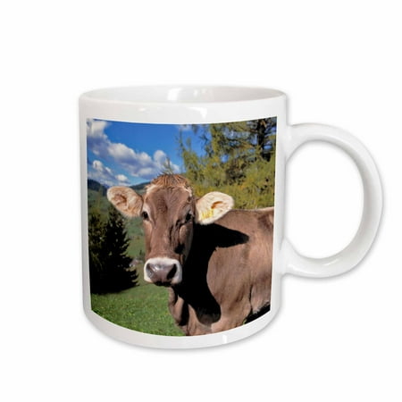

3dRose Italy Dolomite Alps Swiss Brown cow - EU16 RER0140 - Ric Ergenbright Ceramic Mug 11-ounce