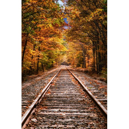 Tracks Into Fall, White Mountains New Hampshire, New England in Autumn Print Wall Art By Vincent