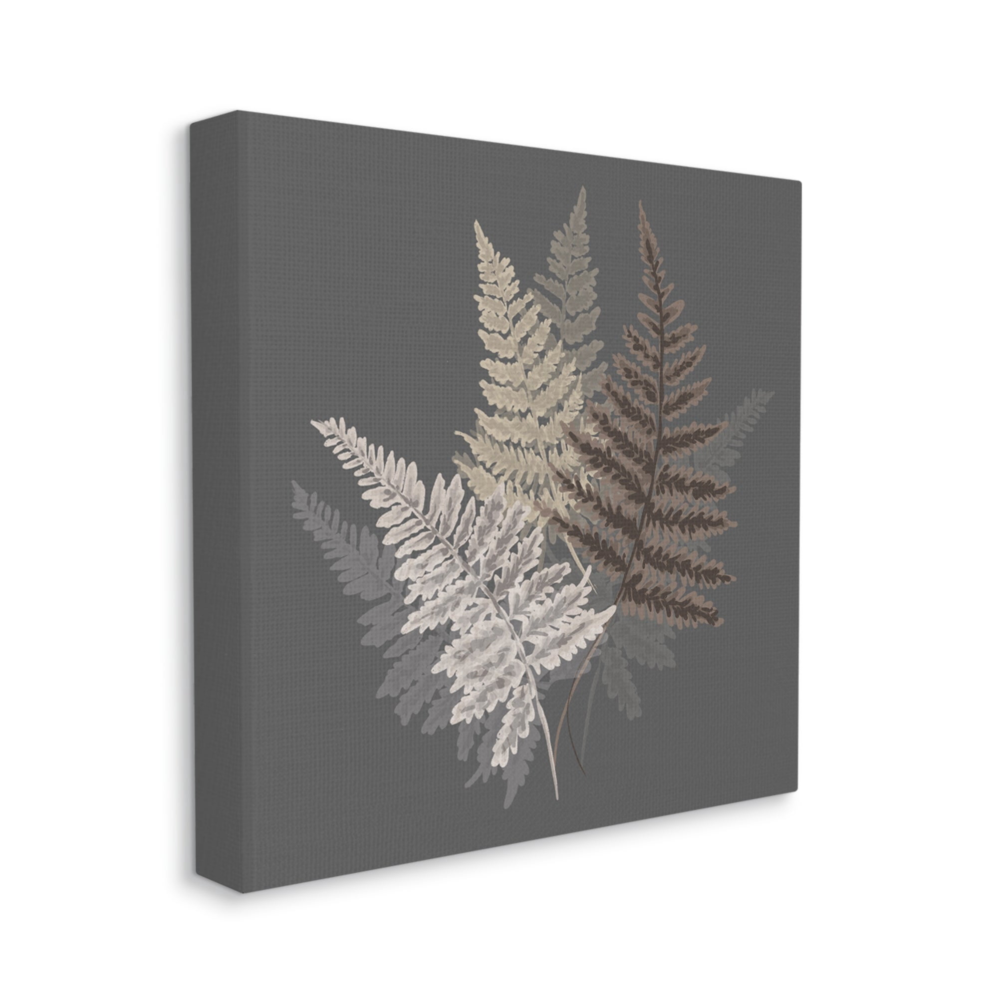 Stupell Industries Fern Sprigs Leaves Layered Nature Earthy Botanicals Graphic Art Gallery Wrapped Canvas Print Wall Art, Design by House of Rose