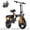 Z6-PLUS, variant on AZHAR 750W Foldable Electric Bike for Adults, 48V 10Ah Removable Battery, 14" Ebike, Electric Mini Bike,The range is 30 miles UL 2849