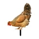 thumbnail image 1 of Estatuilla de jardín Zulema gallina acrílica Estilo B 25 cm, 1 of 8
