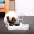 thumbnail image 2 of Home double puppy Cat Water and Food Bowl Set Stainless Steel Bowl Automatic Water Dispenser Bottle Feeder for Small Medium Size dog and, 2 of 7