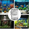 thumbnail image 3 of Fish Breeding Container Clear Acrylic Insulation Chamber, TwoTone Hatching Box Floating Nursery with Suction Holders, 3 of 5
