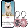 thumbnail image 4 of Etiquetas de identificación MYLUCKYTAG Etiquetas para perros, perfil en línea para mascotas, código QR, 4 of 6