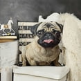 thumbnail image 2 of YINGXI It's Glitter Throw Pillow Cover - It's NOT Dog Hair, Dog Decor, Funny Pillowcase, Gift for Dog Lovers, Sofa Bed Living Room Home Decoration, Pillowcase 24x24in, 2 of 5
