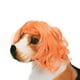 thumbnail image 3 of Peluca para mascotas, accesorio fotográfico para gatos y perros, divertido accesorio para el pelo con looks bonitos y divertidos, 3 of 7