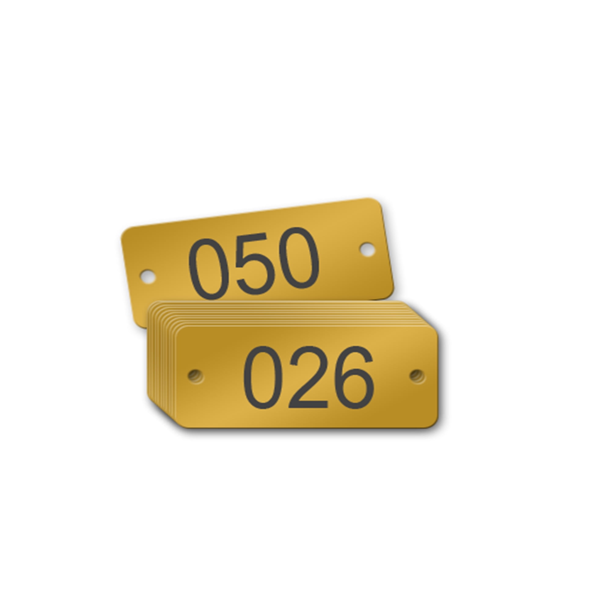 Numbered Rectangle Brass Tags 2 x 1