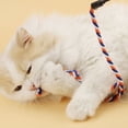 thumbnail image 2 of Interactive Cat Wand String, Cat Teaser Toy with Cute Shape and Vivid Color, Cat Kitten Exercise Cat Stick Toy GRAY, 2 of 5
