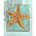 thumbnail image 2 of Schory, Lori 26x32 White Modern Wood Framed Museum Art Print Titled - Starfish and Coral, 2 of 4
