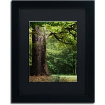 Trademark Fine Art "The old Trunk" Canvas Art by Philippe Sainte-Laudy Black Matte, Black Frame