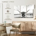 thumbnail image 5 of Elephant Stock Longhorn Texas Bw Wall Art - Horizontal Multi Panel Canvas - Living Room Wall Decor - Animal Multi Panel - Black And Gray Decor By Sisi And Seb - 38" x 24", 5 of 8